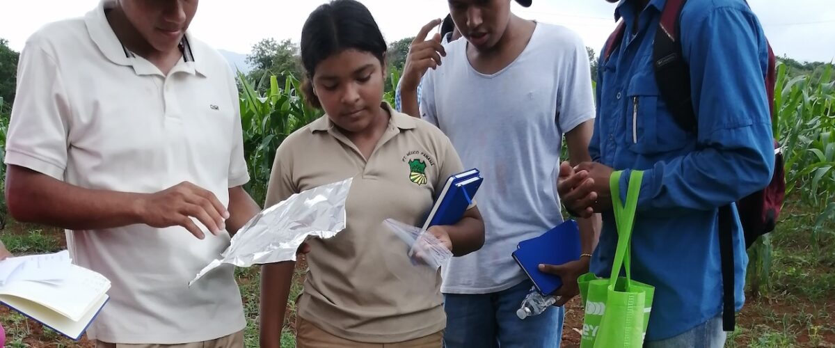 Estudiantes del I.P.T. México – Panamá realizan experimentos en campo para conocer la calidad química y física de los suelos.