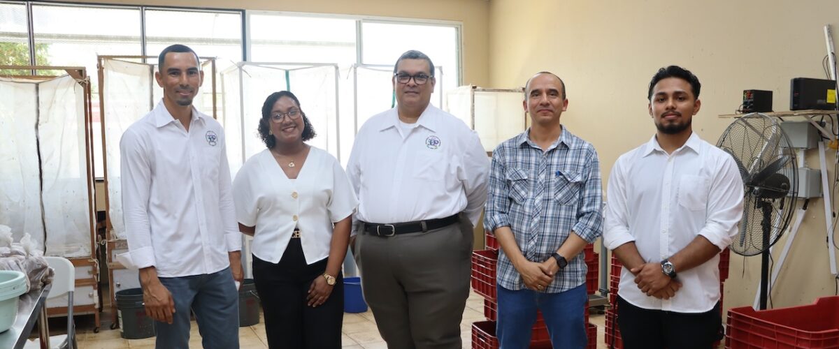 Imagem de noticia: La UTP establece innovadora planta piloto de bioconversión de residuos orgánicos en el Centro de Innovación y Transferencia Tecnológica de Coclé